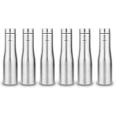 Montavo by FnS Purify Stainless Steel Water Bottle Set of 6 (Capacity 750 ml)